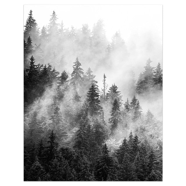 Forêt Embrumée