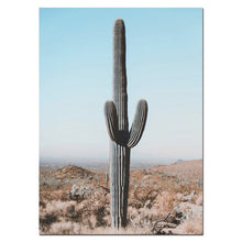 Charger l&#39;image dans la galerie, Désert et Cactus
